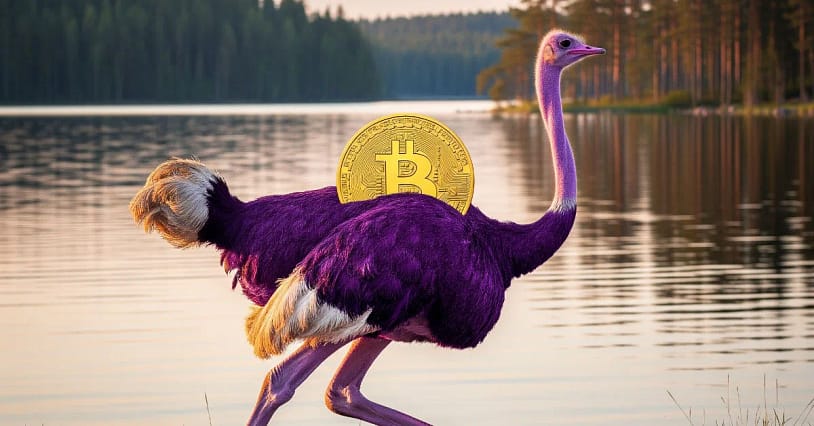 Are You Even A Bitcoiner If You’re Not On Nostr?