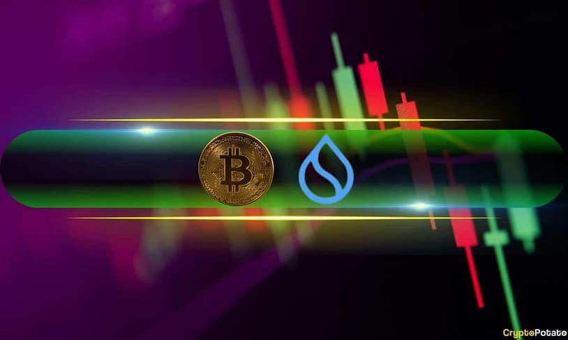 SUI Shoots Up by 8%, BTC Price Recovers From Sub-$94K Dip (Market Watch)