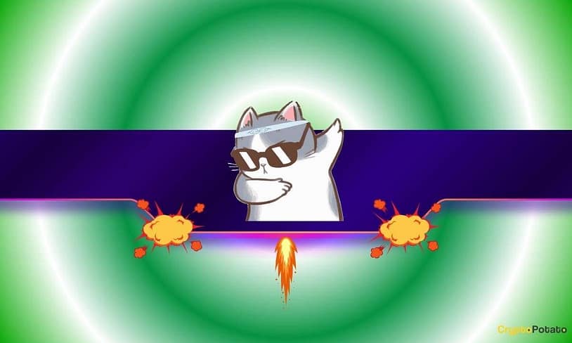 This Meme Coin Skyrocketed by 13,000% in a Week: What Happened?