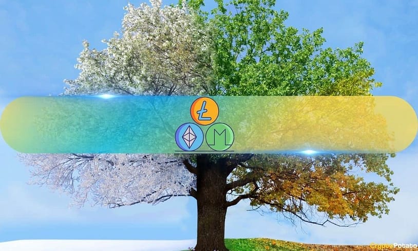 Hope for Altcoins? Analysts Predict Epic Finale to This Bull Cycle