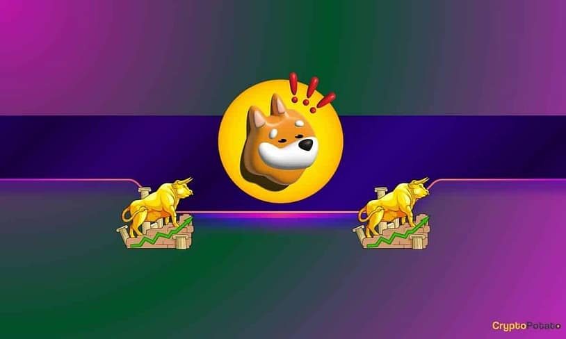 BONK at Critical Level After 28% Weekly Drop