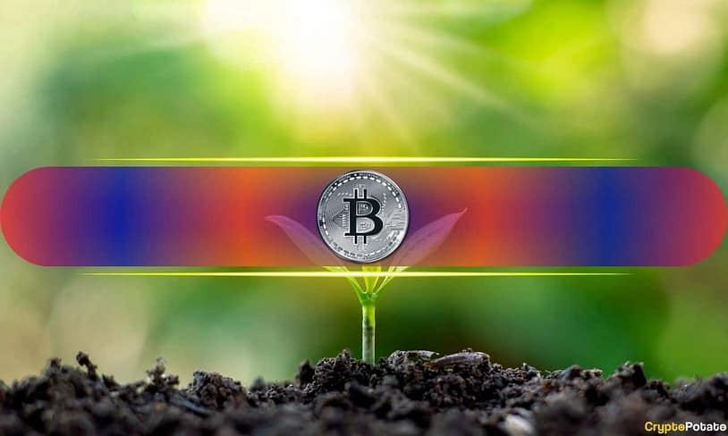 Momentum Is Here – But Will Liquidity Unlock Bitcoin’s Price Discovery?