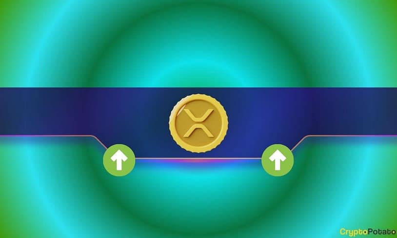 XRP’s Path to a New Record High: The Key Steps You Need to Watch