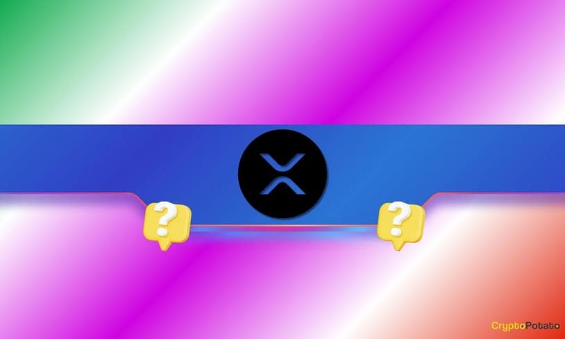 Is a Mega Ripple (XRP) Price Rally Coming Soon? What are Whales up to?