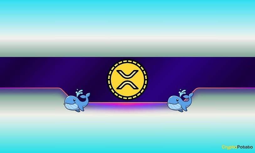 150,000,000 XRP Sold in 48 Hours: Panic or Opportunity?