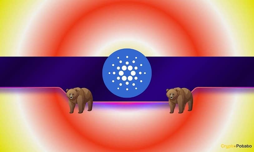 ADA, XRP Bleed Again as Whale Sell-Off Intensifies