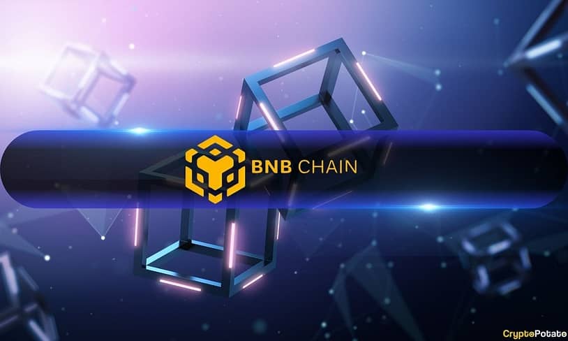 Smart Money Pours Into BNB Chain as Developer Activity Accelerates