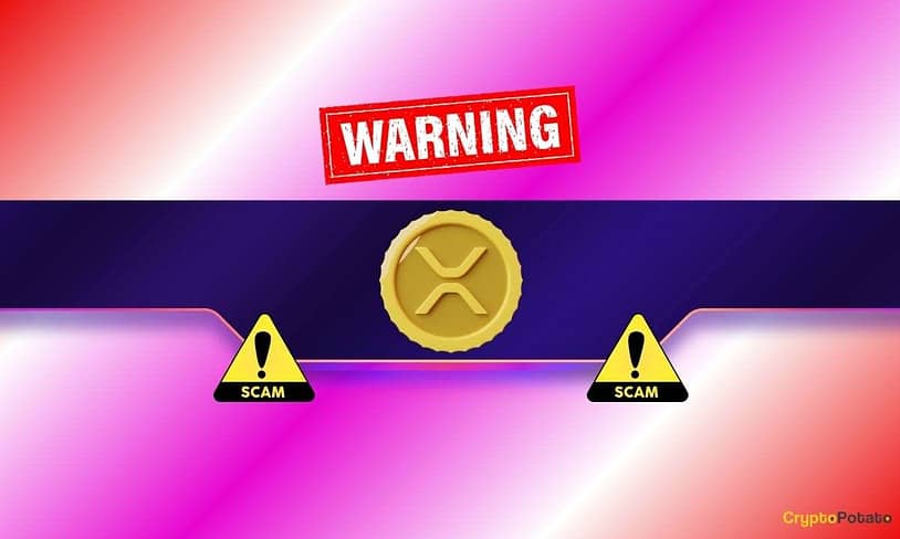 Crucial Red Flags for the XRP Army